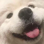 PANURUT SIRINAPAISAN's avatar